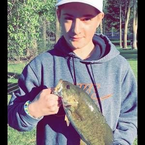 Meet your Posher, Logan